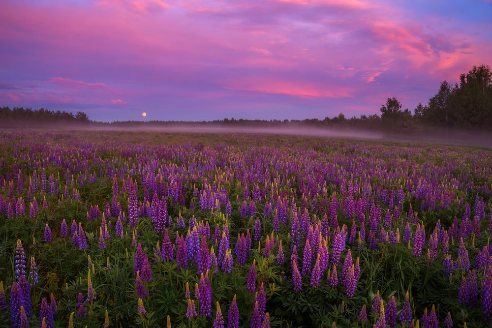 Photograph by Марина Мурашова