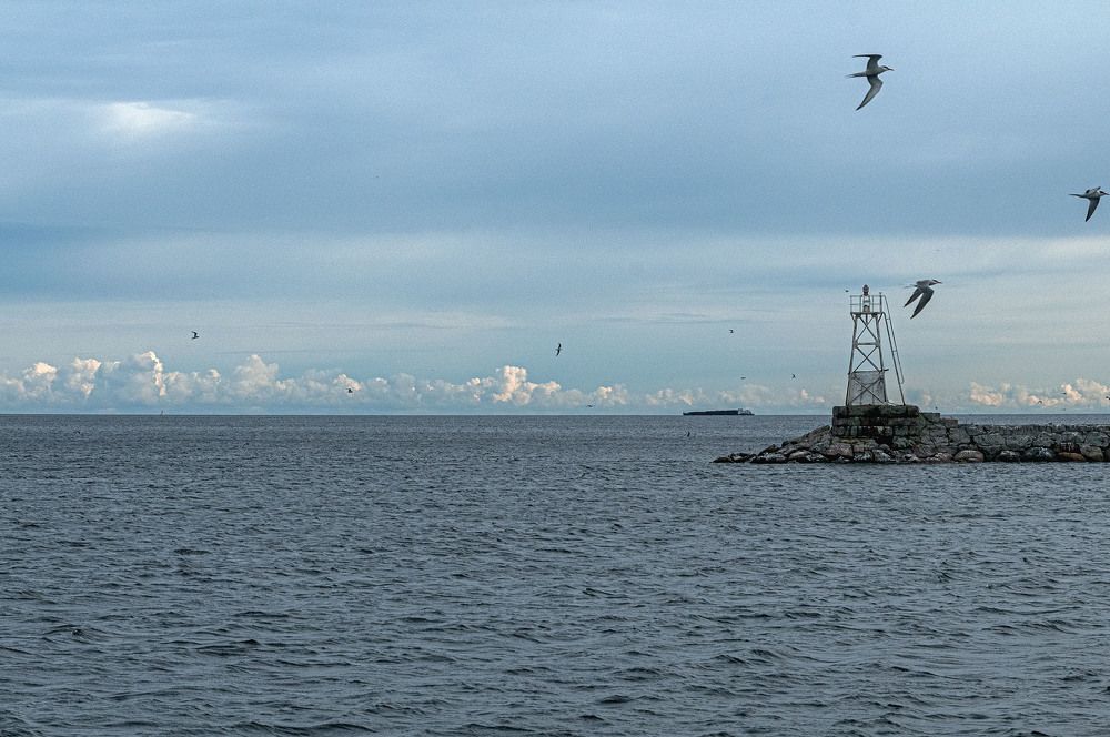 Photograph by Vladimir  Komarov