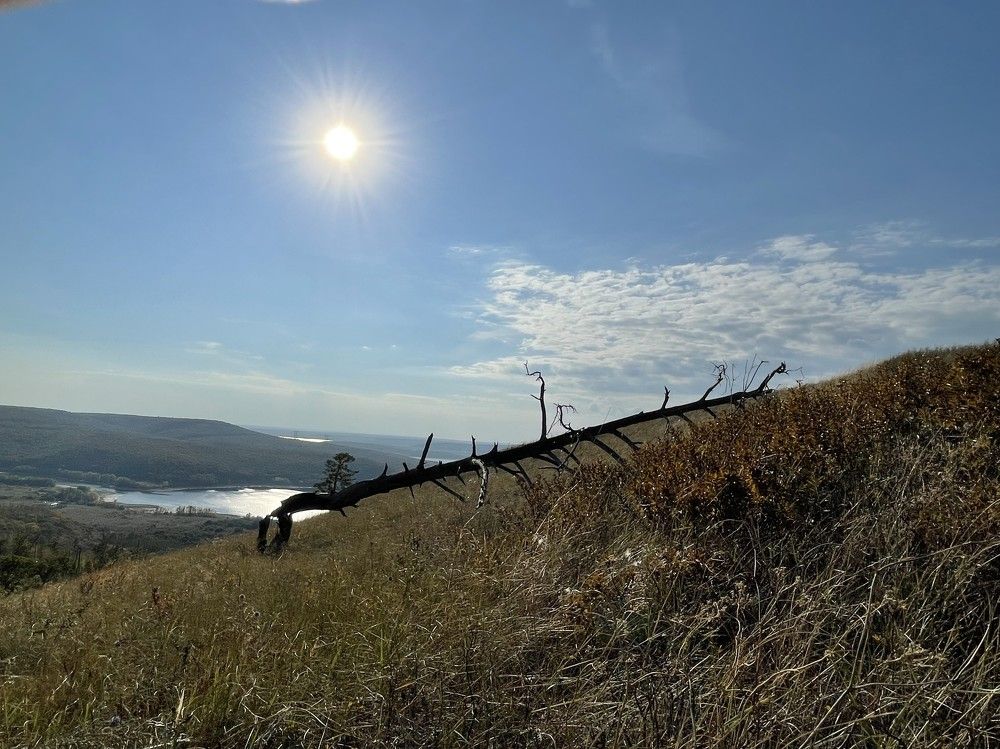 Photograph by Ольга Садилова