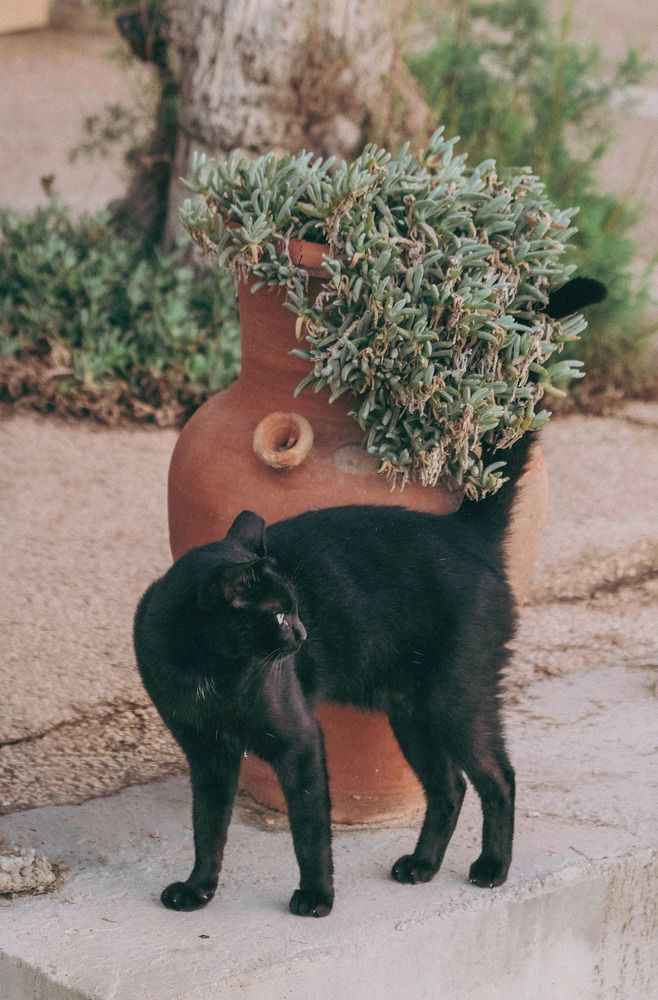 Фотография автора Ольга Забрянская