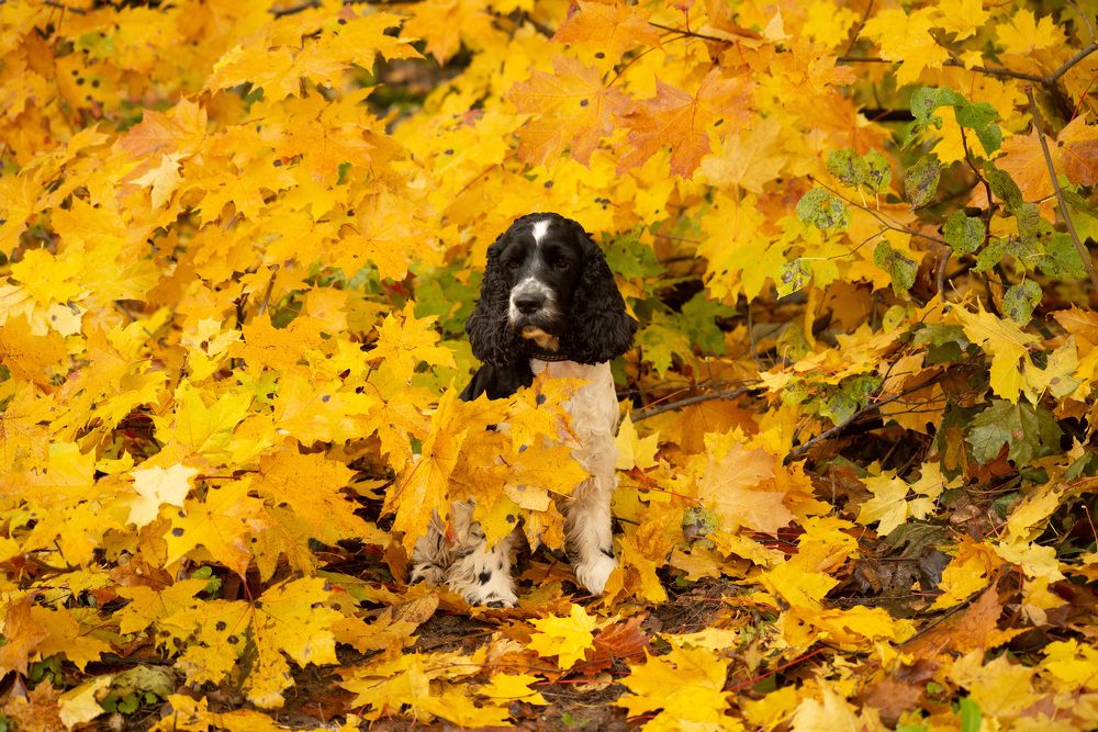 Photograph by Раиса Иванова
