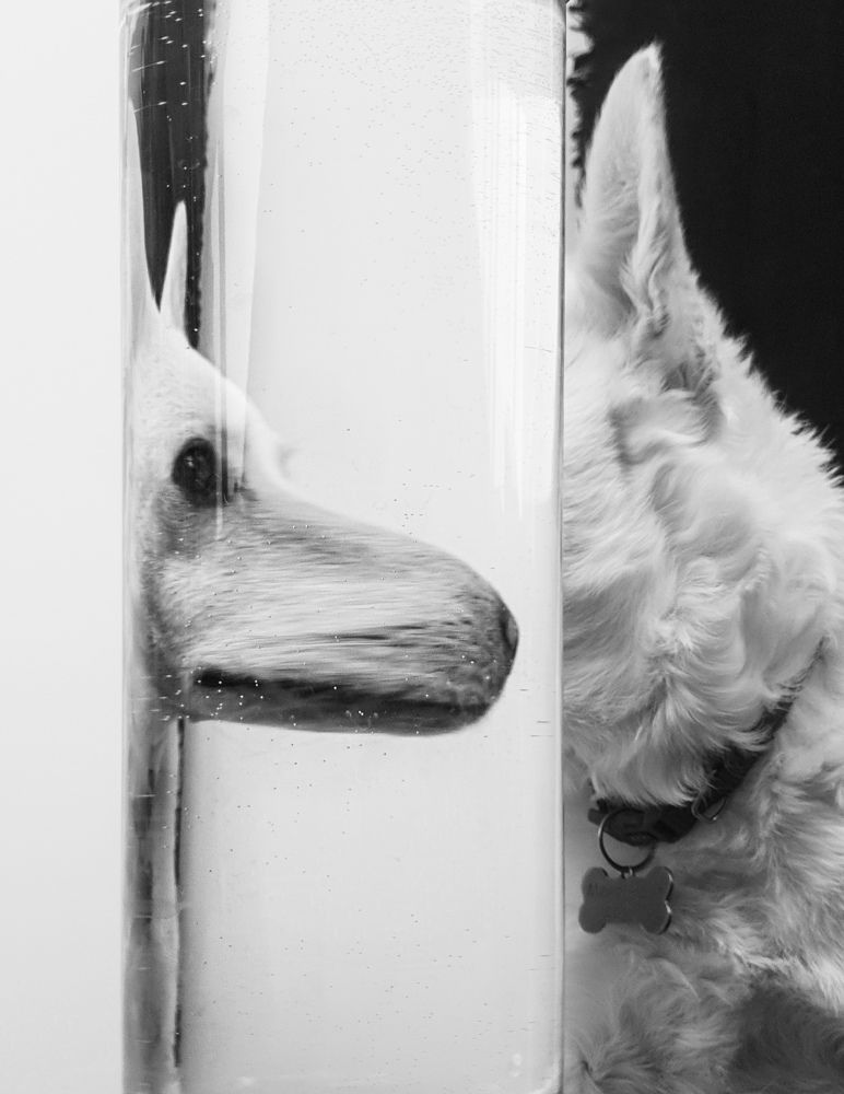 Фотография автора Ольга Шишук