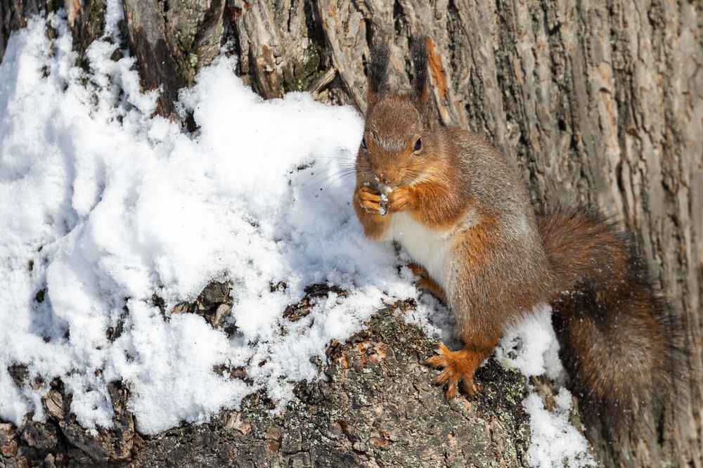 Photograph by Татьяна Тарасова