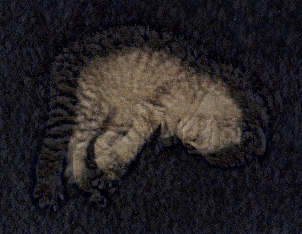 Photograph by Елена Ким