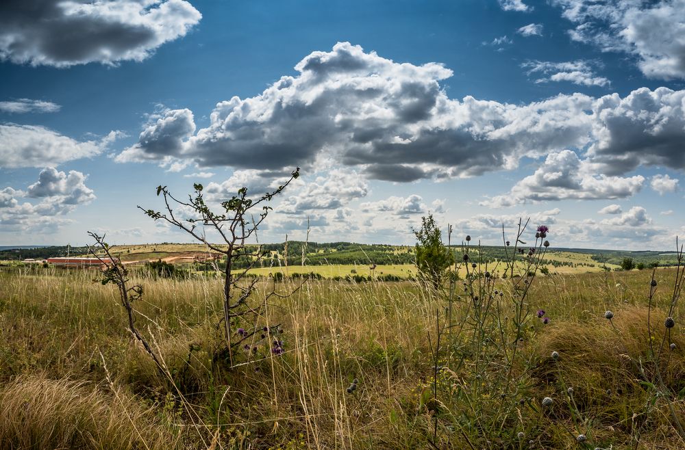Photograph by Михаил Володин