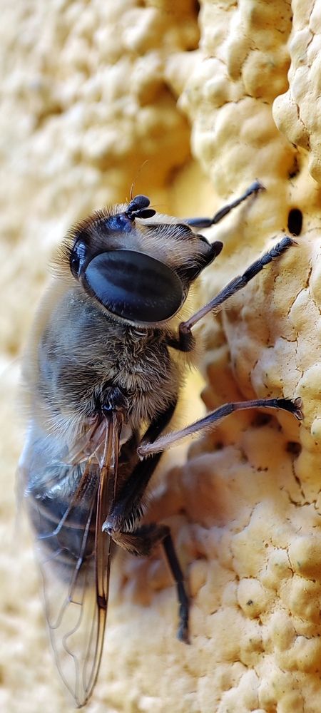 Photograph by Ольга