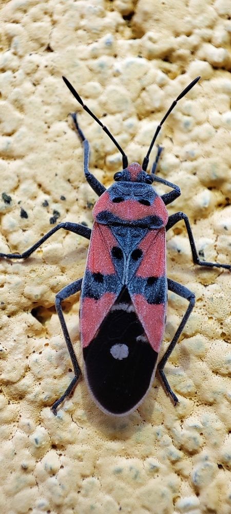 Photograph by Ольга