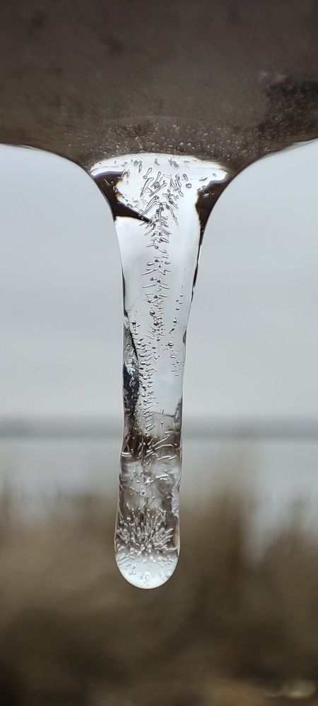 Photograph by Ольга