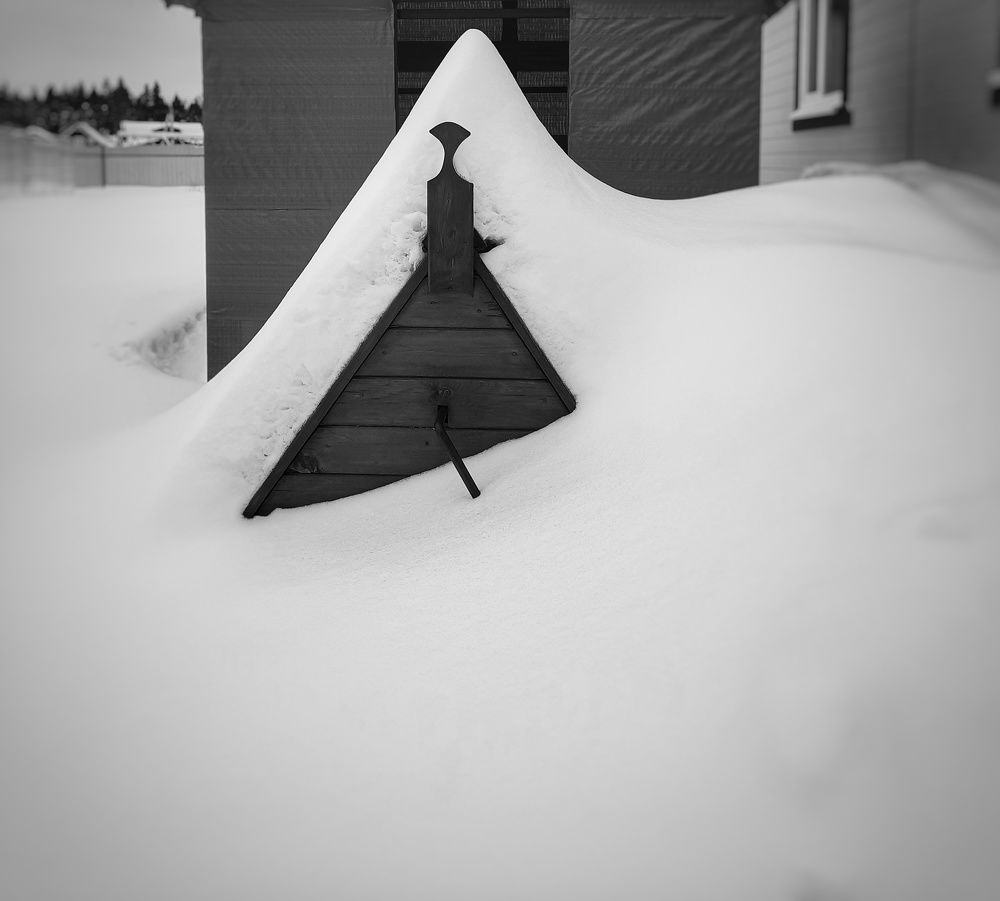 Photo #9952572