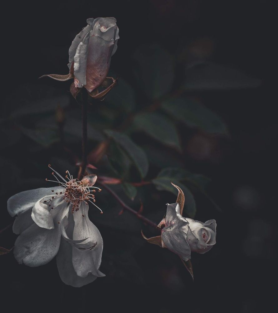 Photograph by Silvina Sánchez