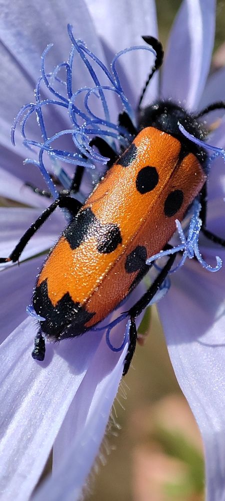 Photograph by Ольга