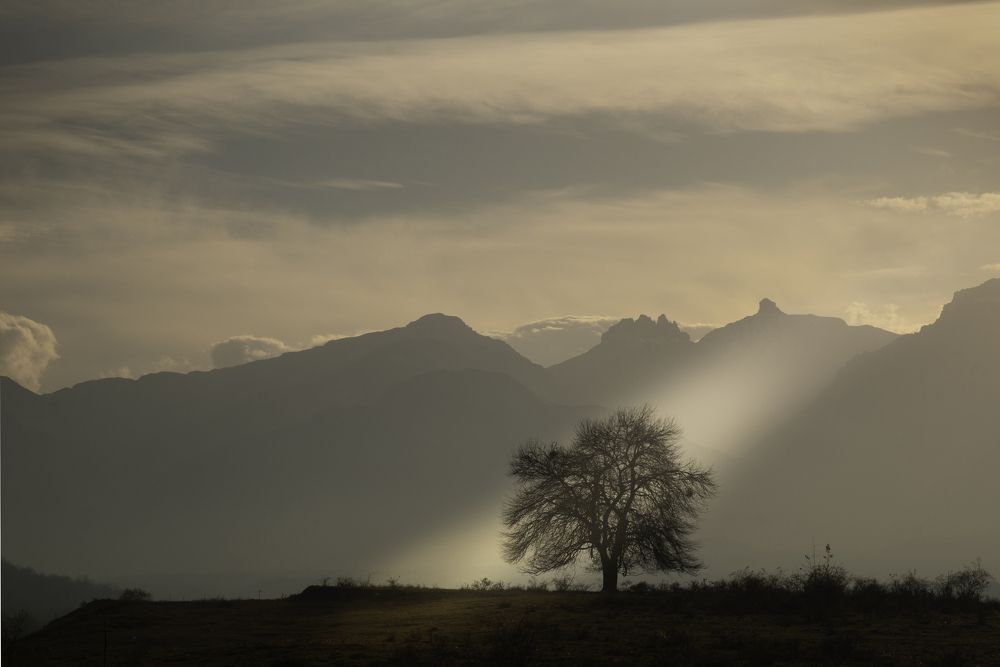 Фотография автора Марина Лукьянова