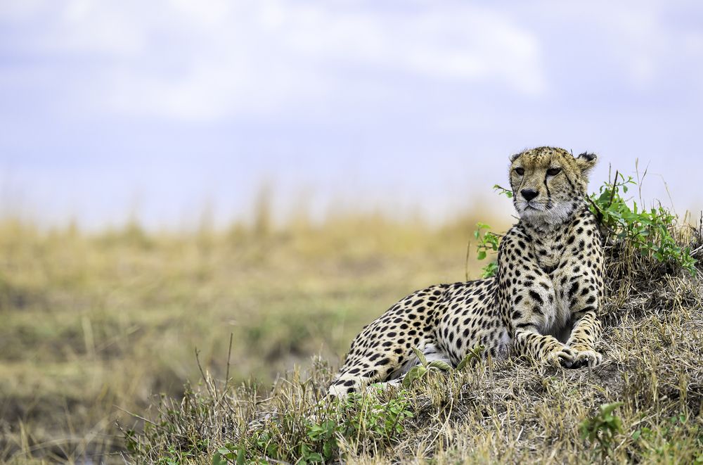 Photograph by Nuwair ALHajeri