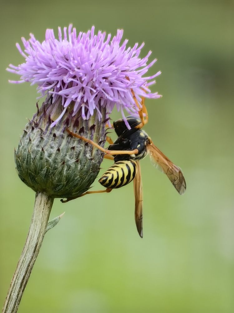 Photograph by Ирина