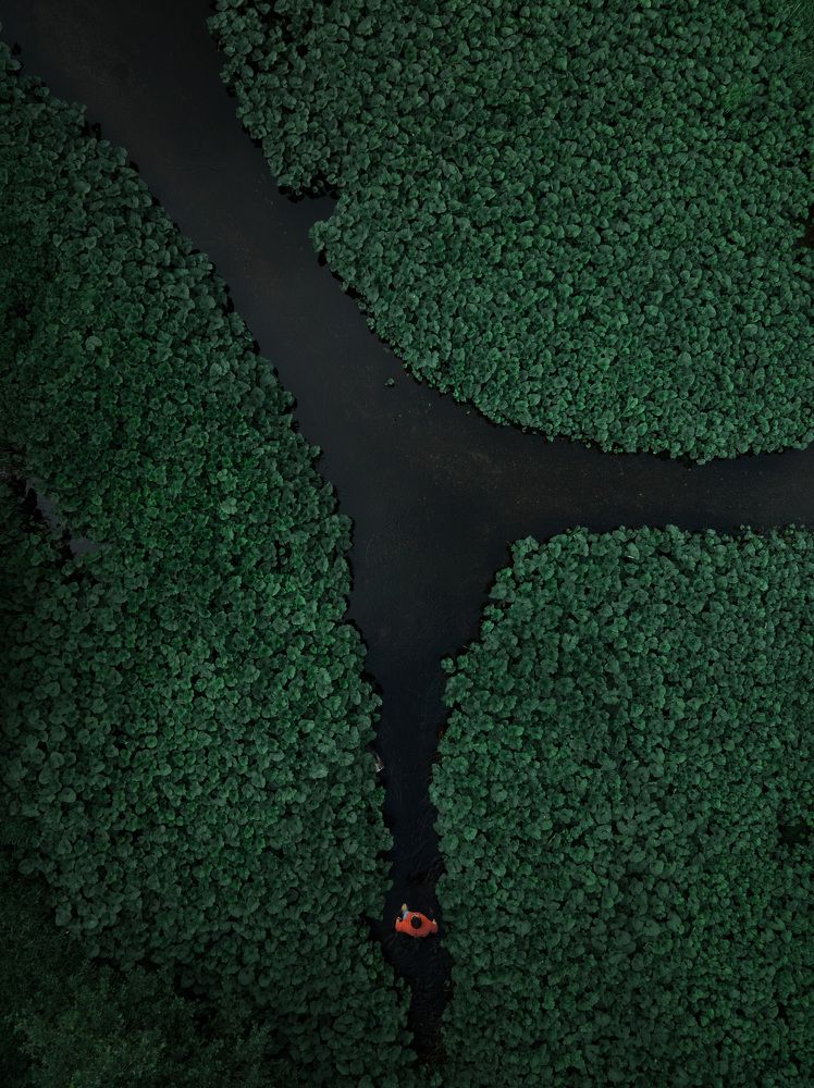 Фотография автора Evgeniy Kozhin