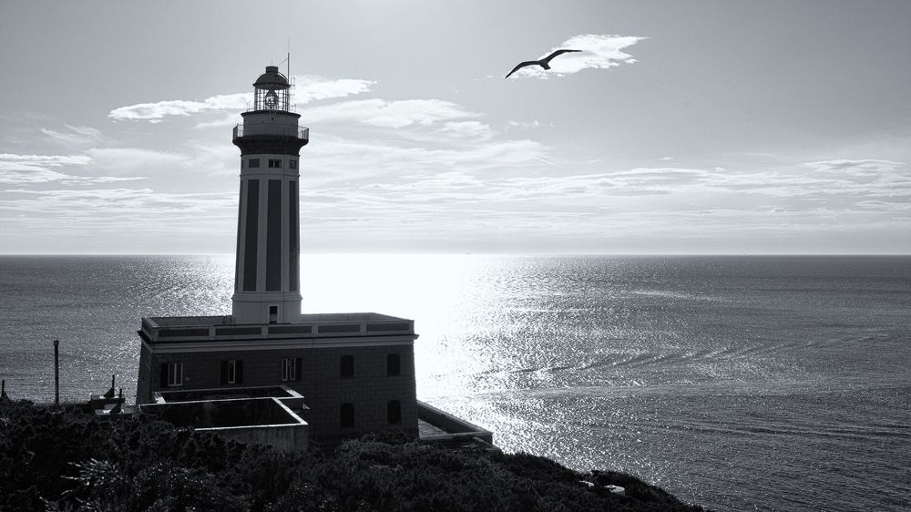 Photograph by Jereissati Demetrio