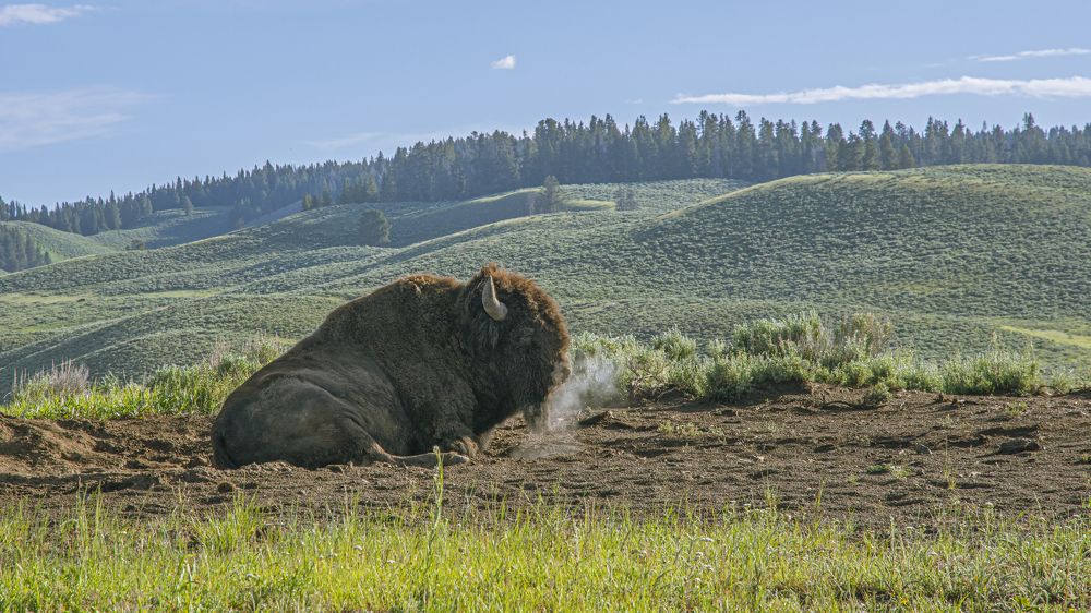 глубокий выдох