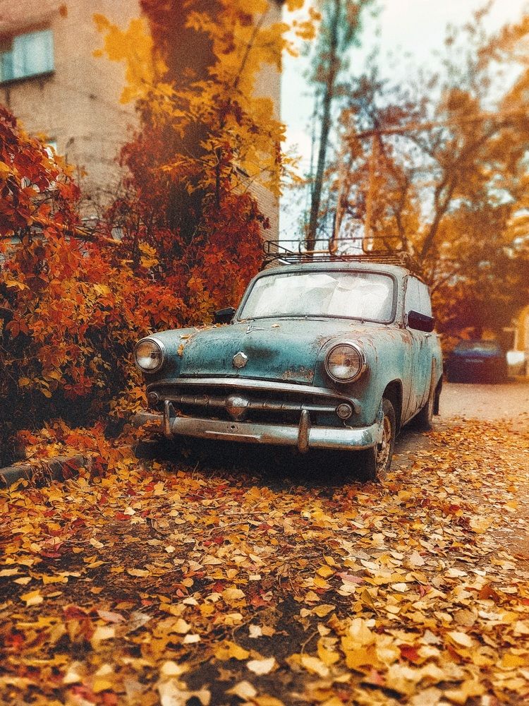 Спящий раритет