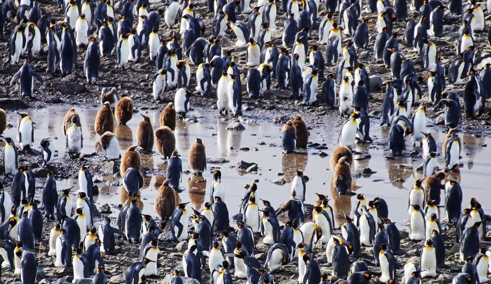 Фотография автора Tatiana Yerushevskaya