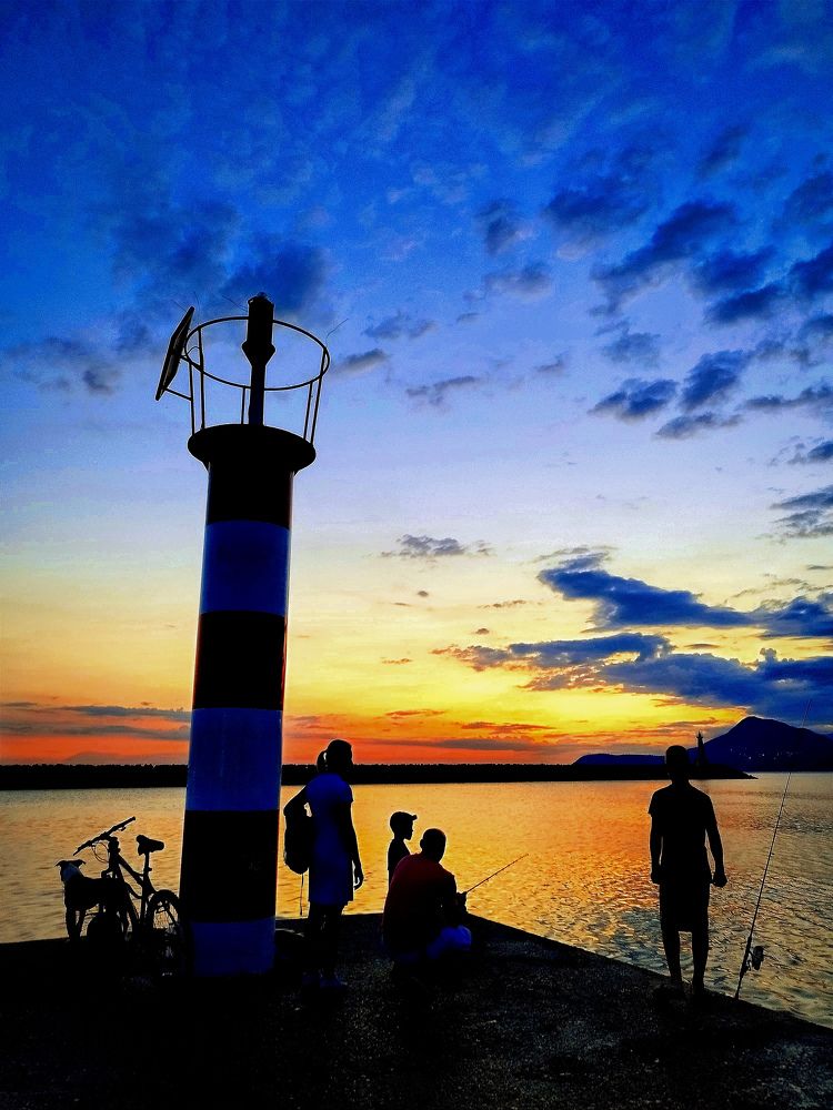 Фотография автора JELENA VASIC