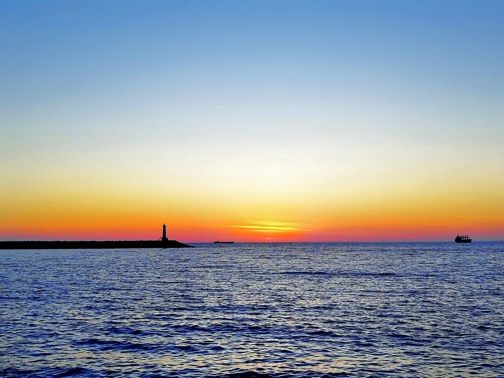 Фотография автора JELENA VASIC