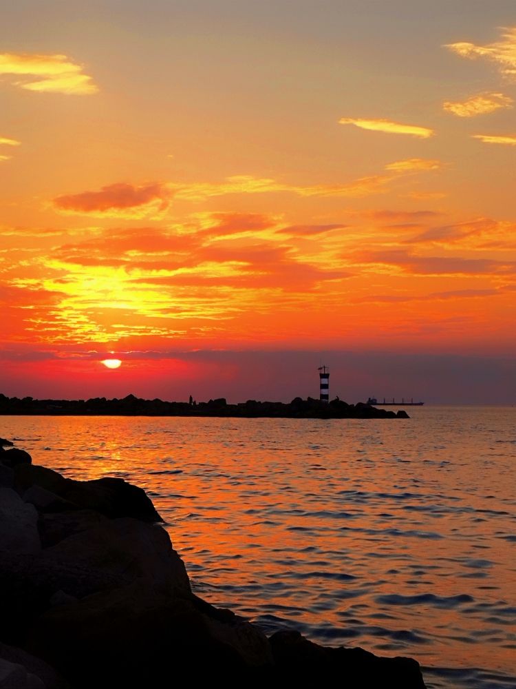 Фотография автора JELENA VASIC