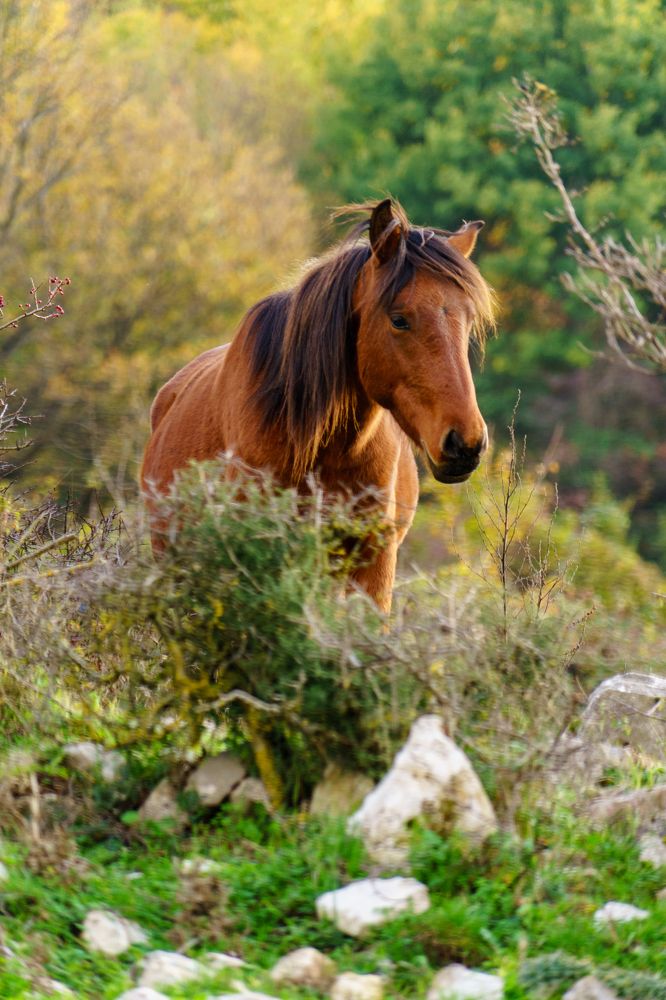 Фотография автора Нина Кулишова