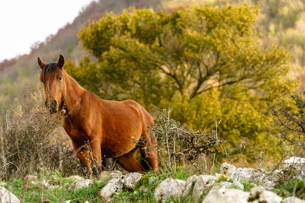 Фотография автора Нина Кулишова