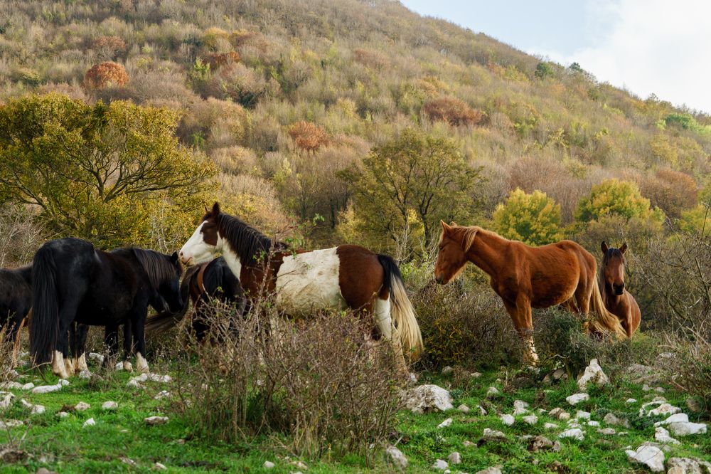 Фотография автора Нина Кулишова