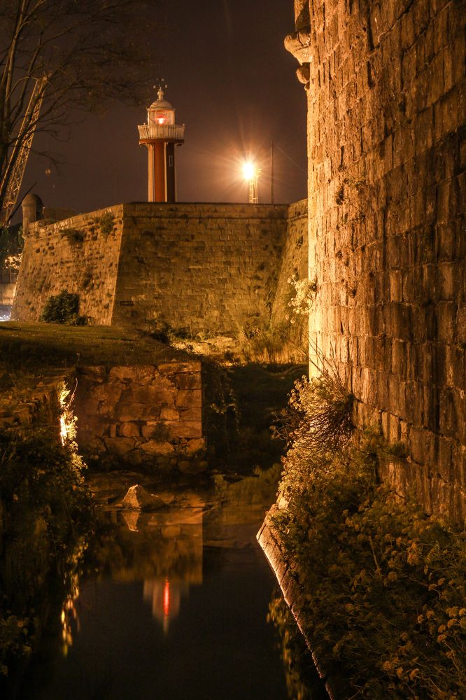 Sentinel - Страж