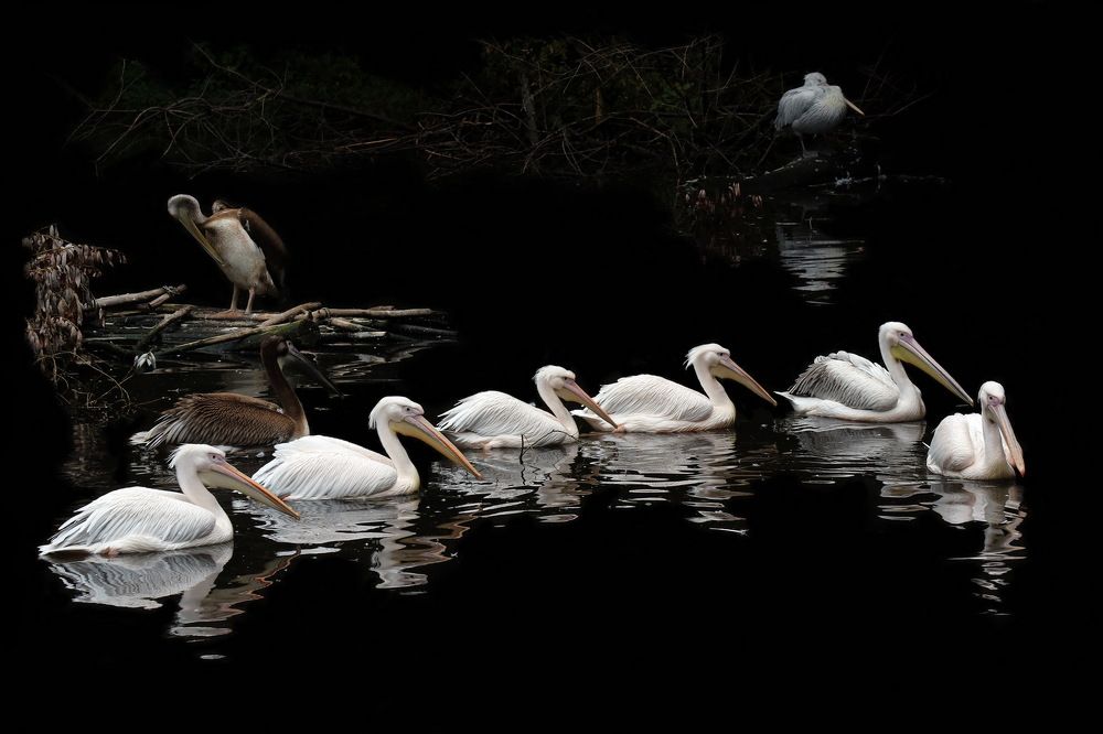 Photograph by Бибичков Михаил