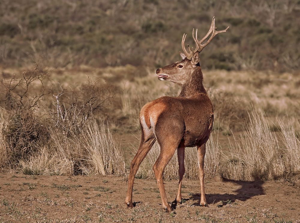 Photograph by Mario Fiorucci