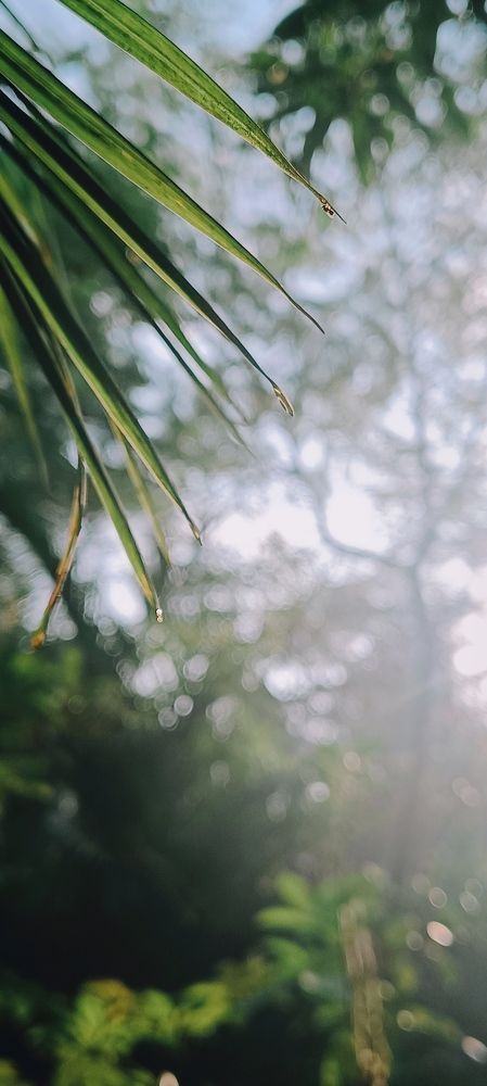 Photo #9953015