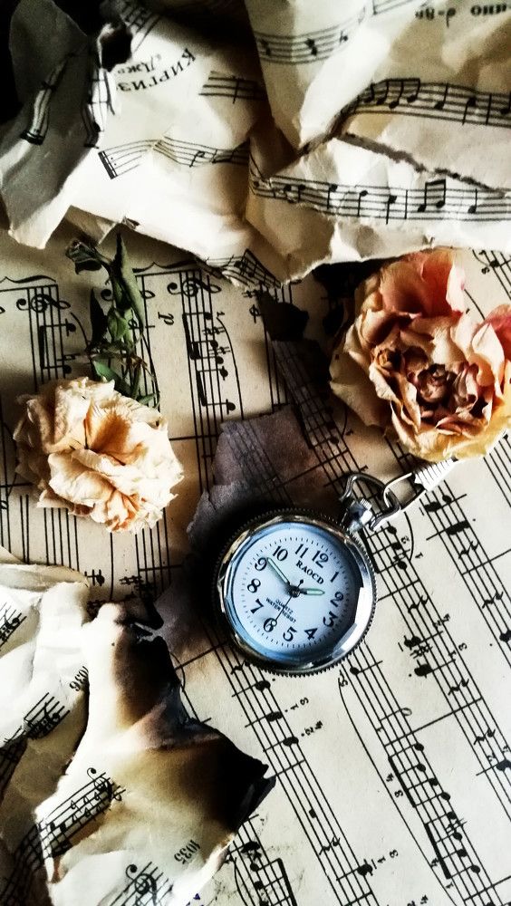 Photograph by Ирина Алпацкая