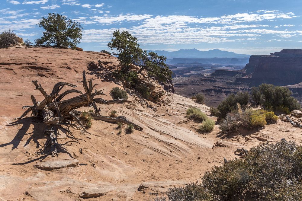 Photograph by Victor Belokrinitski