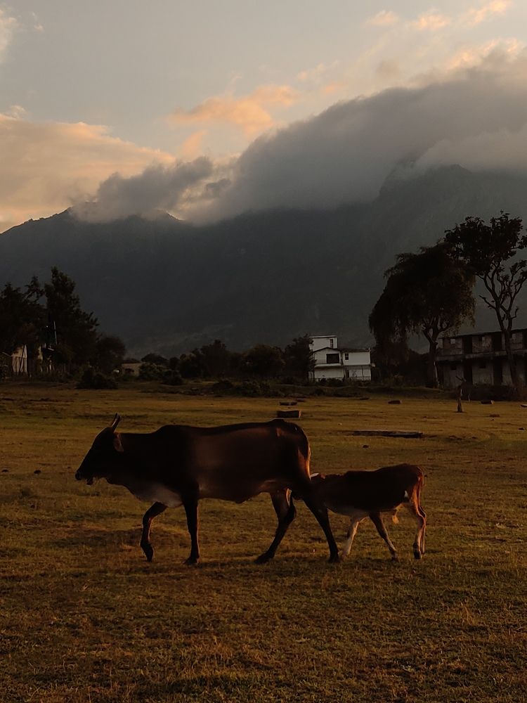 Photograph by MUHAMMED SALIF KV