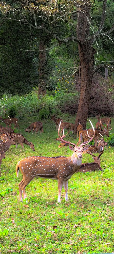 Photograph by MUHAMMED SALIF KV