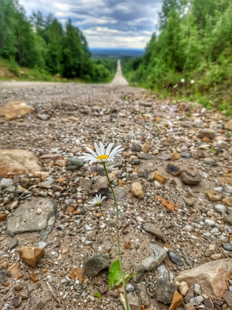 Лето в Пермском крае.