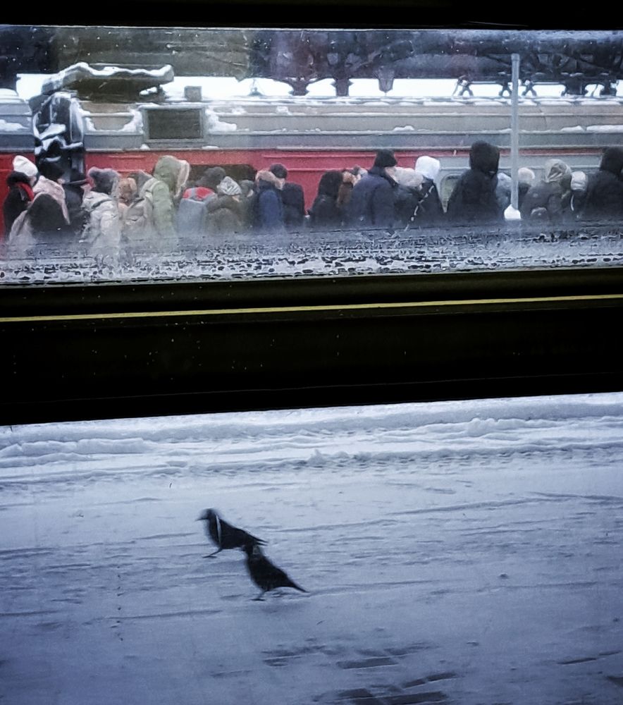 Photograph by Денис Прохоров