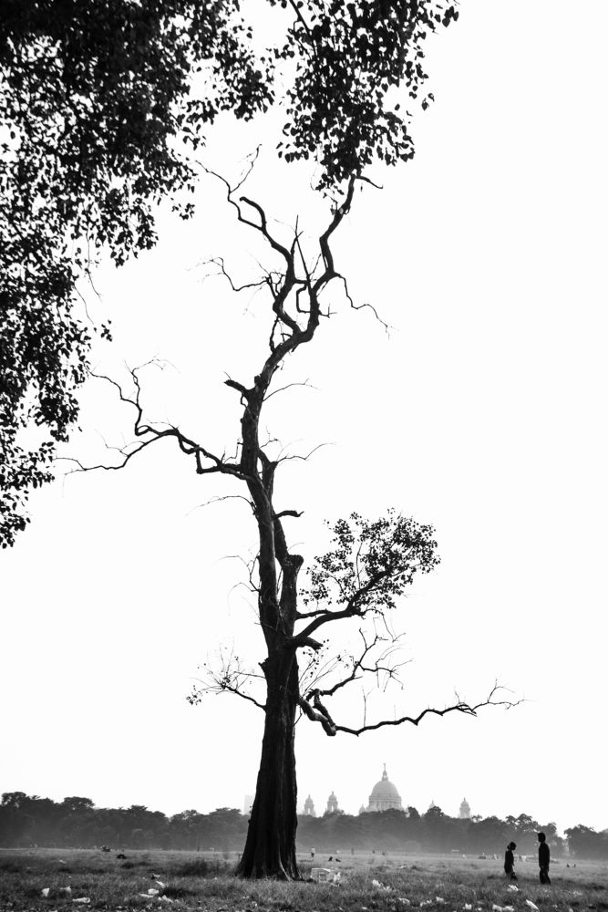 Photograph by Lipika Debnath