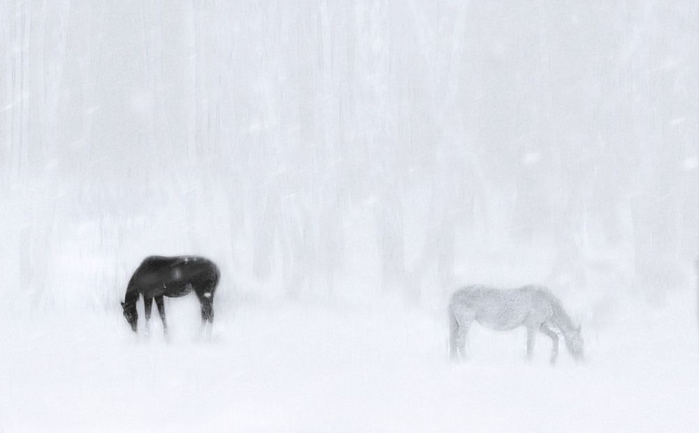 Photograph by Юлия Лушникова