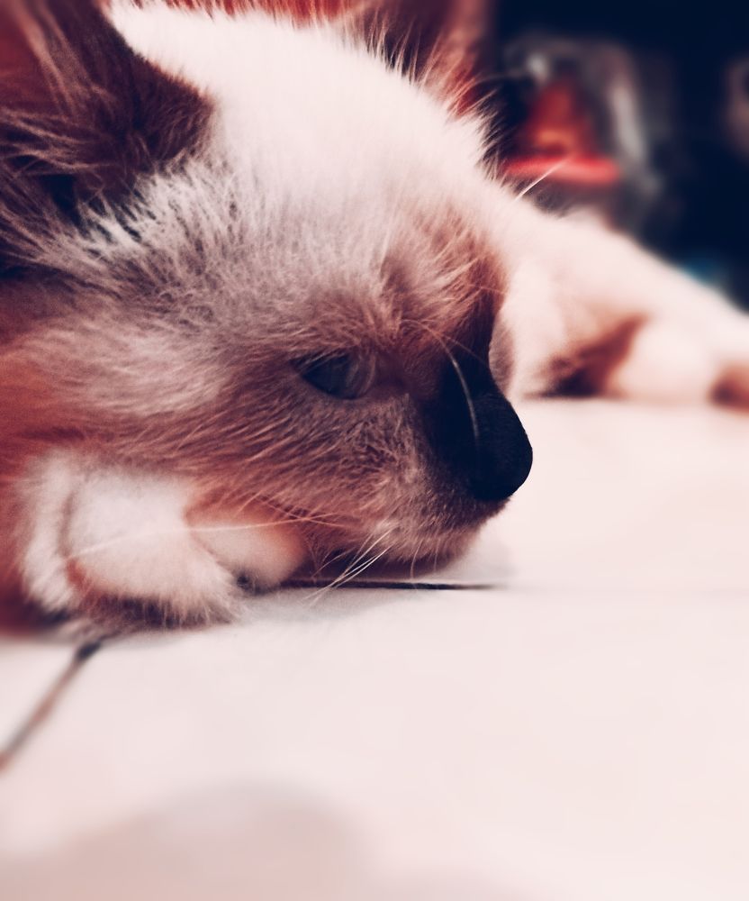 Photograph by Ansyah Badri
