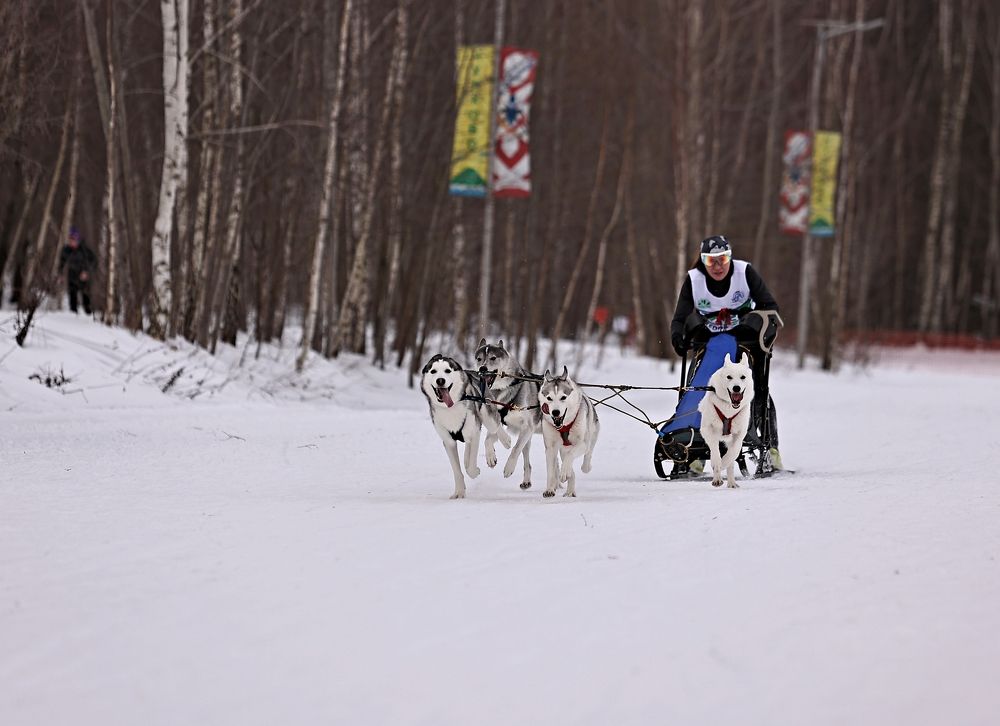 Photograph by Елена Одынец