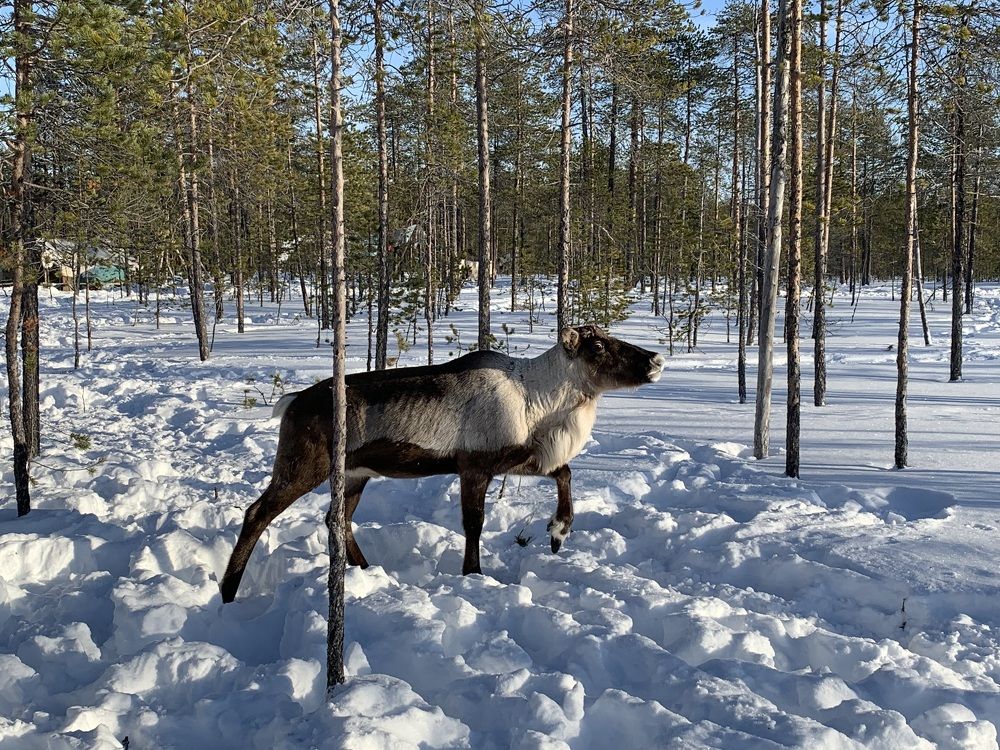 Photograph by Наталья Бирук