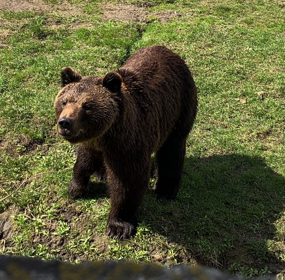 Photograph by Наталья Бирук