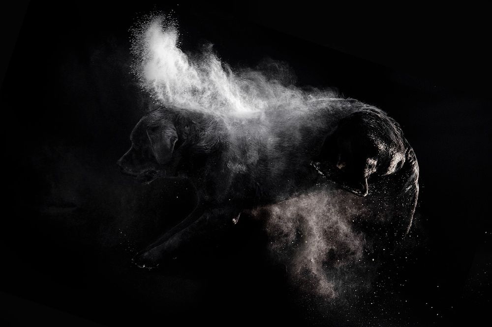 Photograph by Жанна Дандыбаева