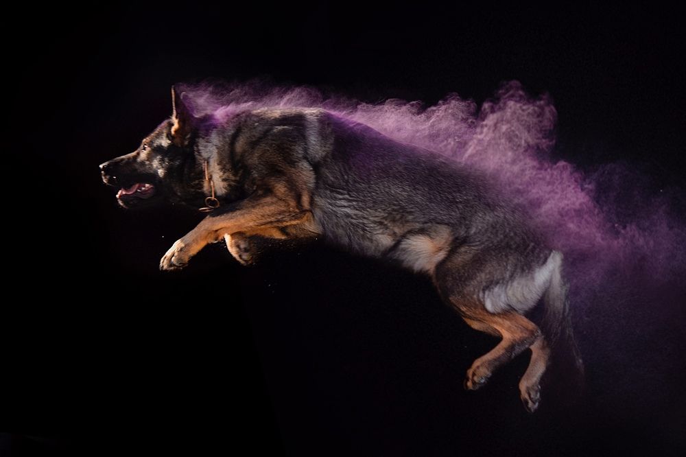 Photograph by Жанна Дандыбаева