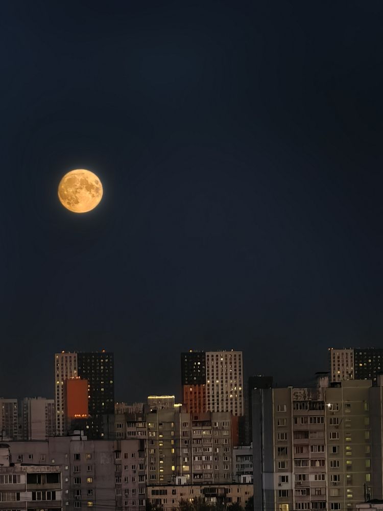 Photograph by Ирина