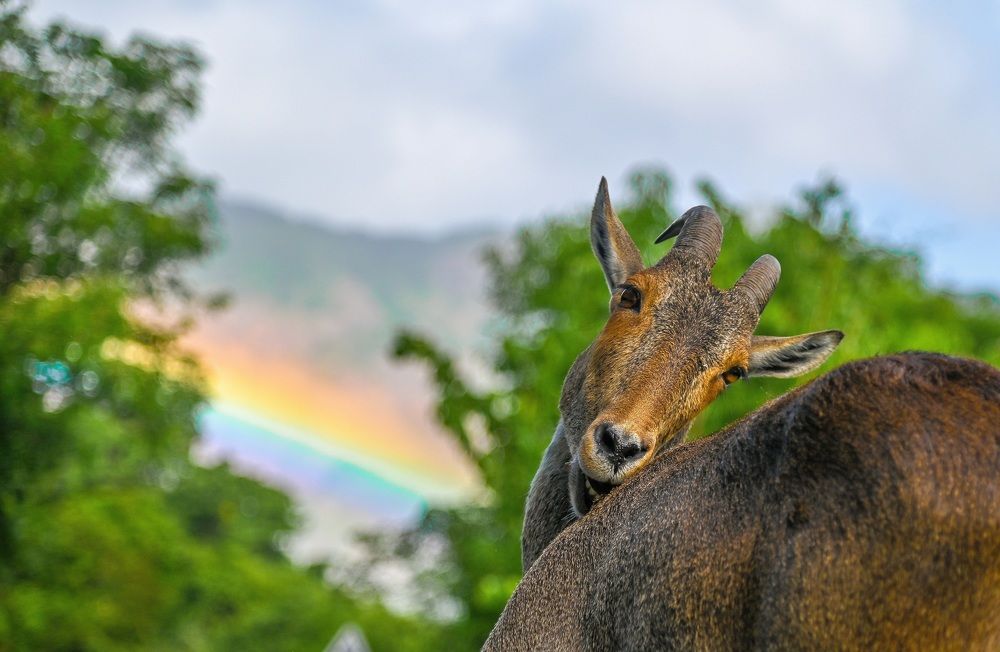 Photograph by Dhayanand