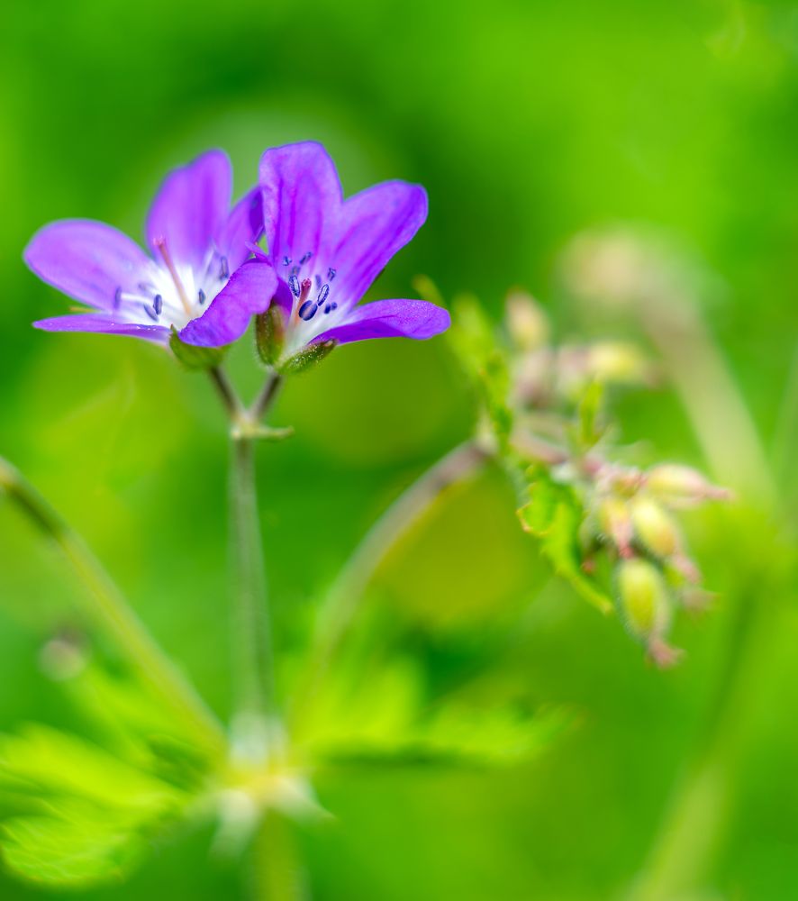 Photograph by Сергей Брызгалов